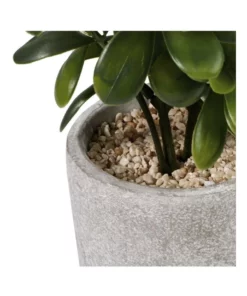 Cooper & Co 40cm Sweet Plum Artificial Plant 7 Cooper & Co 40cm Sweet Plum Artificial Plant -Home Decor Shop 827669350 3 720x928