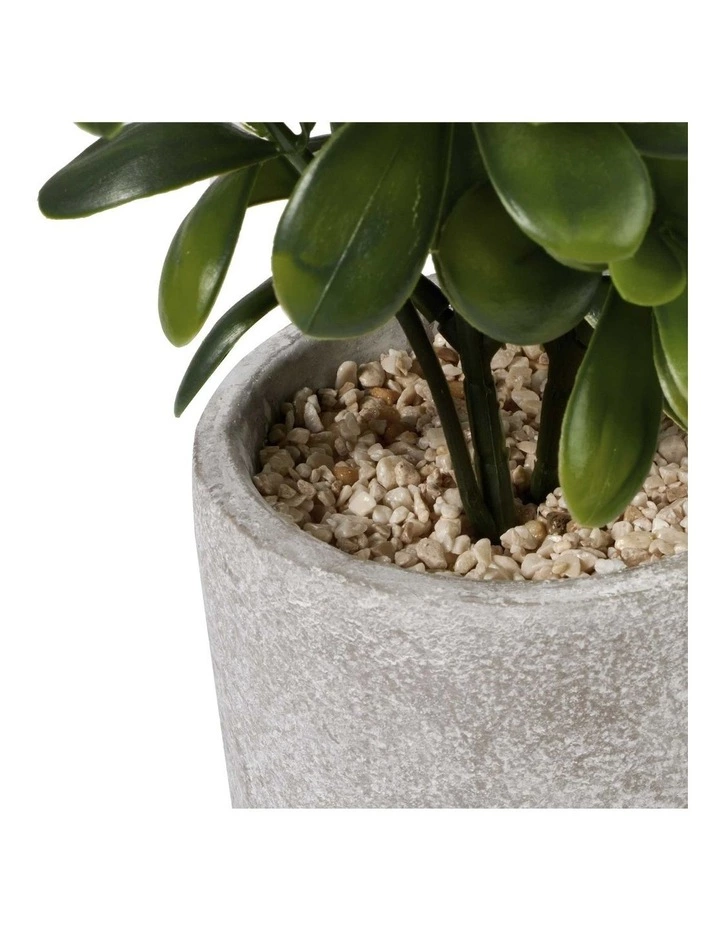 Cooper & Co 40cm Sweet Plum Artificial Plant 3 Cooper & Co 40cm Sweet Plum Artificial Plant - Image 3