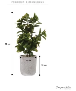 Cooper & Co 40cm Sweet Plum Artificial Plant 9 Cooper & Co 40cm Sweet Plum Artificial Plant -Home Decor Shop 827669350 5 720x928