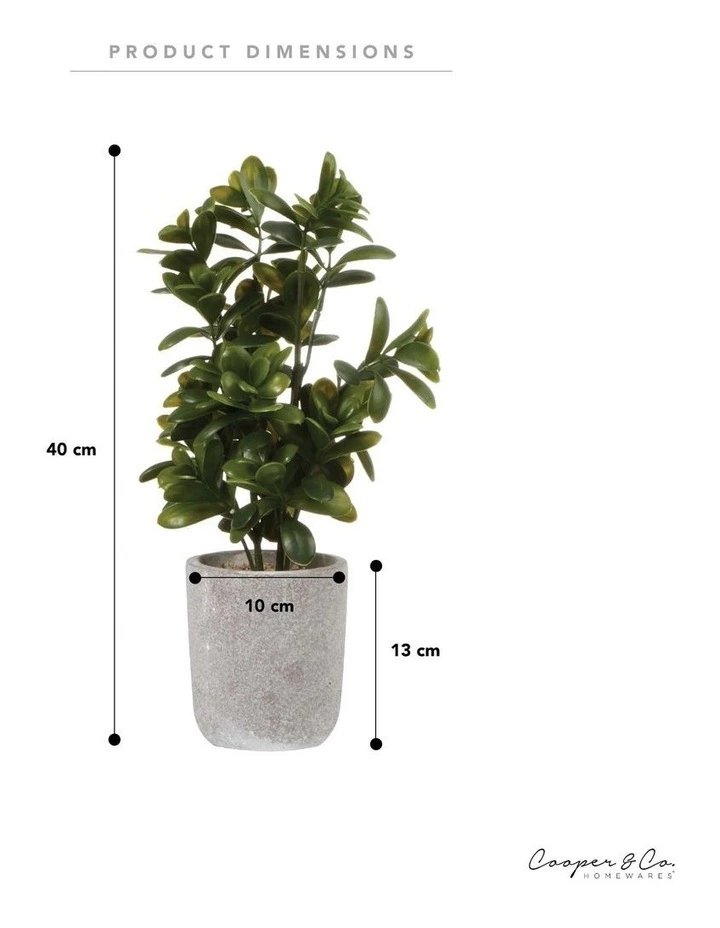 Cooper & Co 40cm Sweet Plum Artificial Plant 5 Cooper & Co 40cm Sweet Plum Artificial Plant - Image 5
