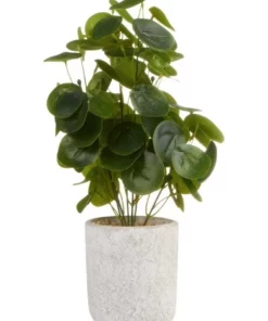 Cooper & Co 40cm Money Bag Artificial Plant