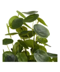 Cooper & Co 40cm Money Bag Artificial Plant -Home Decor Shop 827669440 4 720x928