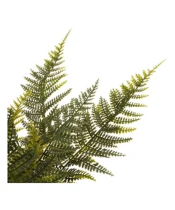 Cooper & Co 40cm Fern Artificial Plant 9 Cooper & Co 40cm Fern Artificial Plant -Home Decor Shop 827669530 4 720x928
