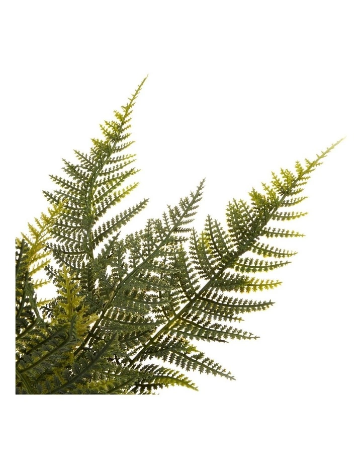 Cooper & Co 40cm Fern Artificial Plant 4 Cooper & Co 40cm Fern Artificial Plant - Image 4