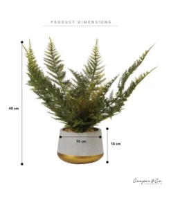 Cooper & Co 40cm Fern Artificial Plant 11 Cooper & Co 40cm Fern Artificial Plant -Home Decor Shop 827669530 6 720x928