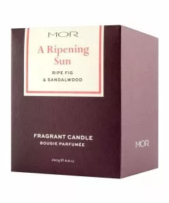 MOR A Ripening Sun: Ripe Fig & Sandalwood Fragrant Candle -Home Decor Shop 828297460 3 720x928