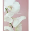 Profile Kyoto Slip-in Slip-in 4x6 300 Photo Capacity Photo Album Pink