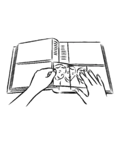 Profile Golden Palms 200 Capacity Photo Capacity Photo Album Yellow -Home Decor Shop 828475210 4 2 720x928