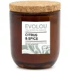 Salt&Pepper Evolou Candle Citrus & Spice 175g
