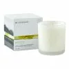 In Essence Wanderlust Lime, Basil & Mandarin Candle