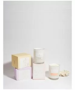 Palm Beach Collection Watermelon 850g Scented Soy Deluxe Candle -Home Decor Shop 833584780 3 720x928