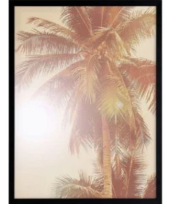 Urban Road Sunkissed Palm Print Black Frame