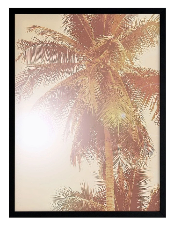 Urban Road Sunkissed Palm Print Black Frame 1 Urban Road Sunkissed Palm Print Black Frame