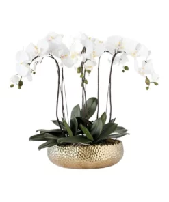 Vicky Yao Real Touch PEVA 6 stems White Phalaenopsis Arrangement in Golden pot
