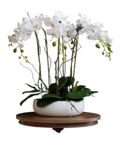 Vicky Yao Real Touch PEVA 6 stems White Phalaenopsis Arrangement in White pot