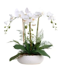 Vicky Yao Real Touch PEVA 3 stems White Phalaenopsis Arrangement in White pot