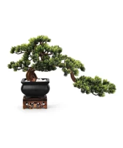 Vicky Yao Artificial Bonsai in Black Pot with Real Tree Trunk