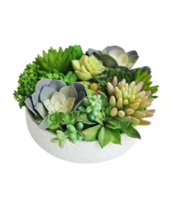 Vicky Yao Artificial succulents Arrangement