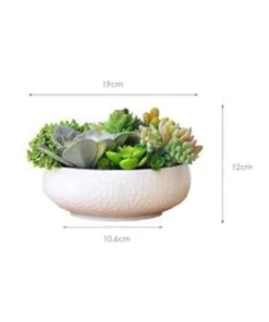 Vicky Yao Artificial succulents Arrangement -Home Decor Shop 837982450 3 720x928