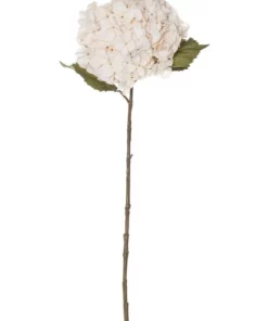 Rogue Dried look Hydrangea Stem 26x23x66cm