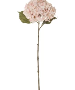 Rogue Dried look Hydrangea Stem 26x23x66cm