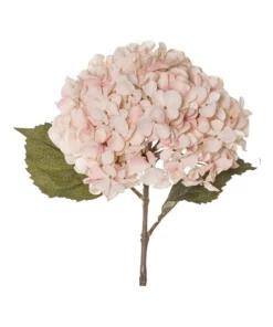 Rogue Dried look Hydrangea Stem 26x23x66cm -Home Decor Shop 839696680 3 720x928