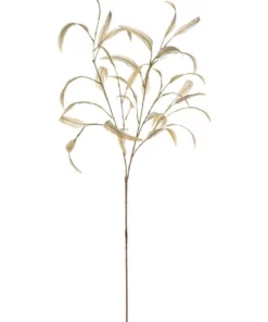 Rogue Dried Look Eucalyptus Spray Cream 33x5x100cm