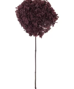 Rogue Preserved Anna Hydrangea Burgundy 60x20x20cm