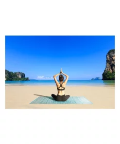 Fab Habitat 90x179cm Brooklyn Teal Recycled Plastic Outdoor Rug and Mat 7 Fab Habitat 90x179cm Brooklyn Teal Recycled Plastic Outdoor Rug and Mat -Home Decor Shop 840976570 4 720x928