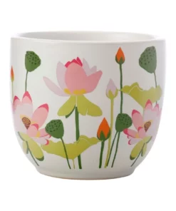 Maxwell & Williams Royal Botanic Gardens Lotus Planter Pot 12cm White