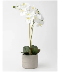 Heritage Real Touch Phalaenopsis 61cm White