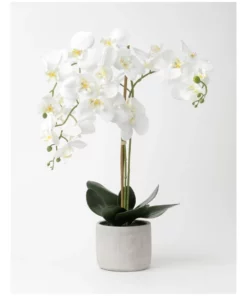 Heritage Real Touch Phalaenopsis 70cm White