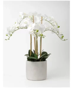 Heritage Real Touch Phalaenopsis 80cm 5 Stem White