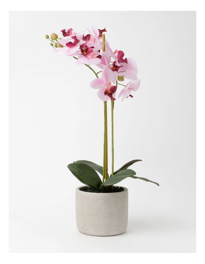 Heritage Real Touch Phalaenopsis 61cm Pink 1 Heritage Real Touch Phalaenopsis 61cm Pink