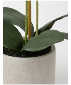 Heritage Real Touch Phalaenopsis 61cm Pink 5 Heritage Real Touch Phalaenopsis 61cm Pink -Home Decor Shop 852152140 3 720x928