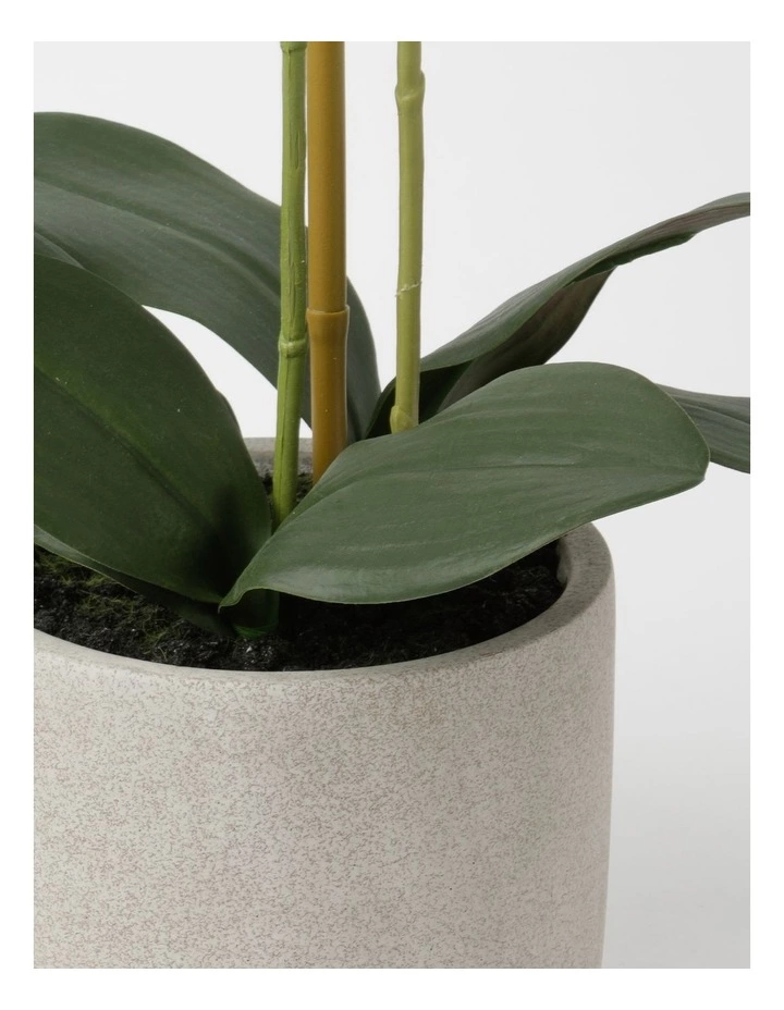 Heritage Real Touch Phalaenopsis 61cm Pink 3 Heritage Real Touch Phalaenopsis 61cm Pink - Image 3