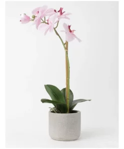 Heritage Real Touch Phalaenopsis 45cm 1 Stem Pink