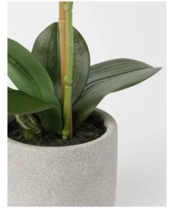 Heritage Real Touch Phalaenopsis 45cm 1 Stem Pink -Home Decor Shop 852152230 3 720x928