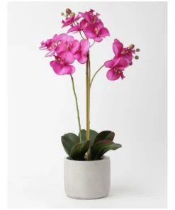 Heritage Real Touch Phalaenopsis 61cm Purple