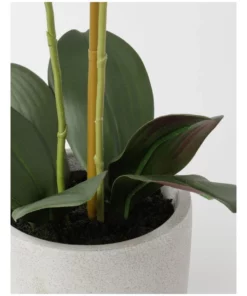 Heritage Real Touch Phalaenopsis 61cm Purple -Home Decor Shop 852152320 3 720x928