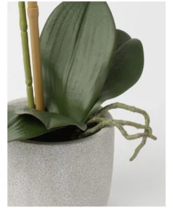 Heritage Real Touch Phalaenopsis 45cm 1 Stem Purple -Home Decor Shop 852152410 3 720x928