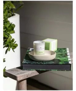 Palm Beach Collection Jasmine & Lime 90g Scented Soy Candle