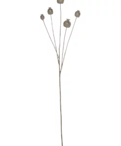 Rogue Poppy Seed Spray