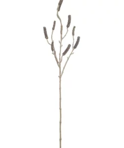 Rogue Callistemon Branch