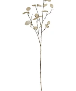 Rogue Silver Dollar Spray