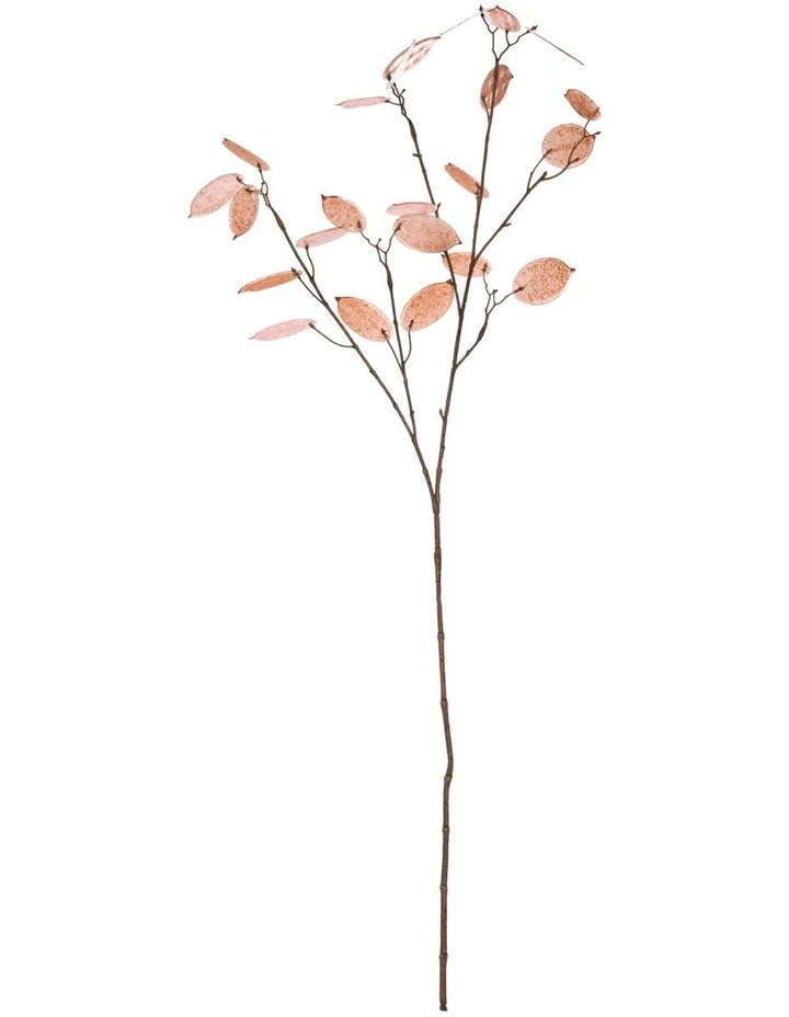 Rogue Silver Dollar Spray 1 Rogue Silver Dollar Spray