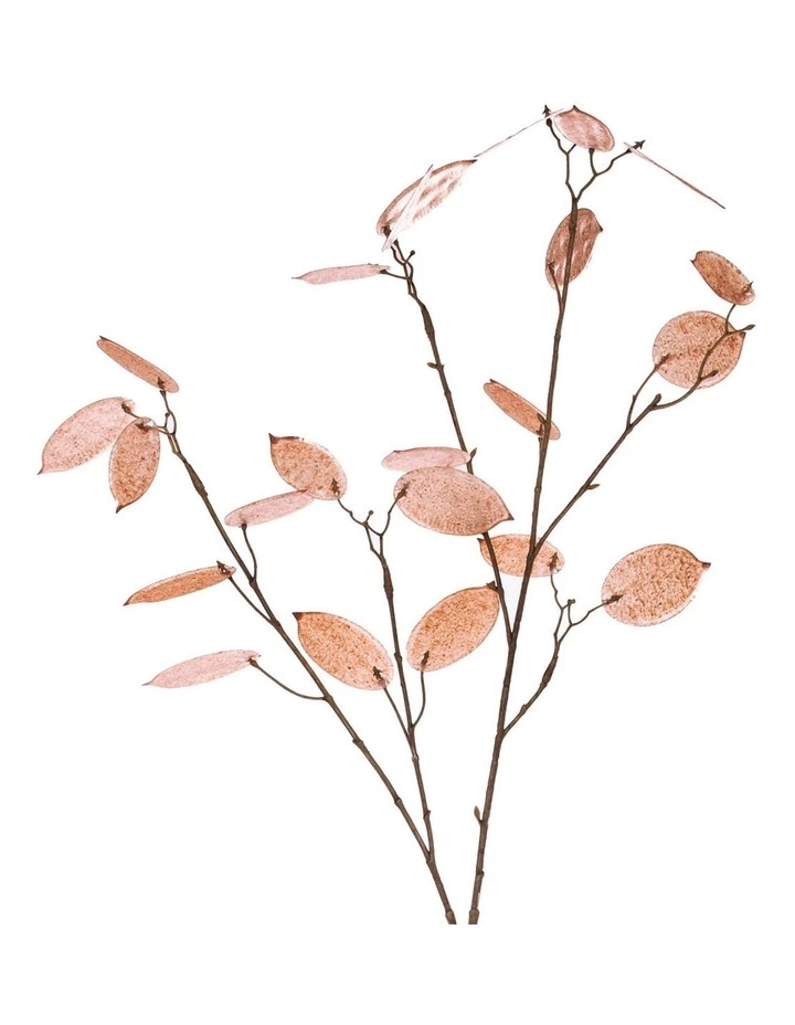 Rogue Silver Dollar Spray 2 Rogue Silver Dollar Spray - Image 2