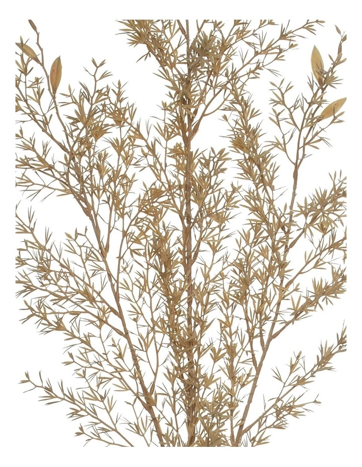 Rogue Tea Leaf Spray 2 Rogue Tea Leaf Spray - Image 2