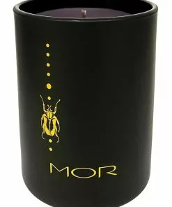 MOR Lady Damselfly Fragrant Candle - Toasted Marshmallow & Spice 250g -Home Decor Shop 860189500 3 720x928