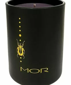 MOR Mr Beaux Jangles Fragrant Candle - Fraser Fir & Sparkling Champagne 250g -Home Decor Shop 860189590 3 720x928